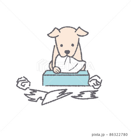 ティッシュを出す犬 ティッシュを出す犬 86322780