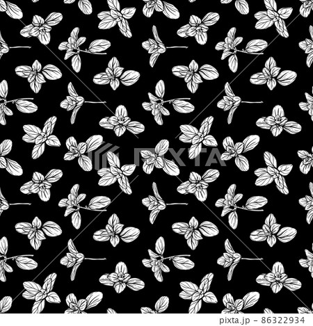 Basil Pattern. Italian herbs.A sprig of marjoram Basil Pattern. Italian herbs.A sprig of marjoram 86322934