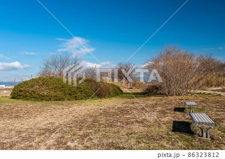 冬の淀川河川公園 86323812