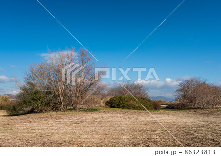 冬の淀川河川公園枚方地区 冬の淀川河川公園枚方地区 86323813