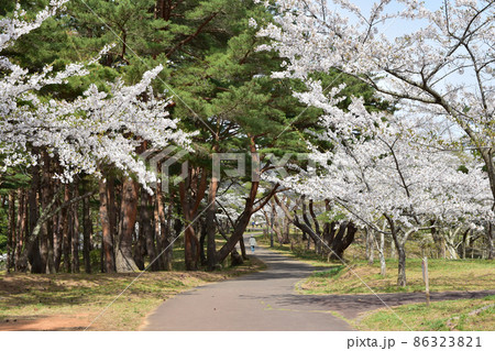 愛宕公園　野辺地町 86323821