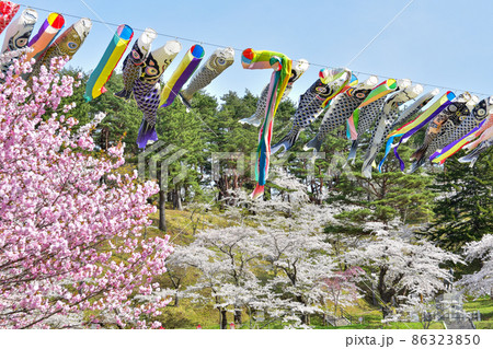 愛宕公園　野辺地 86323850