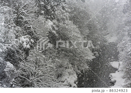 手取峡谷の雪景色 手取峡谷の雪景色 86324923