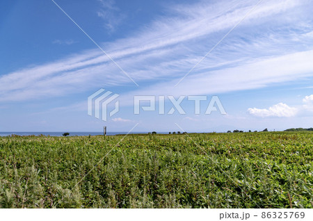 能取岬 夏の北海道 能取岬 夏の北海道 86325769