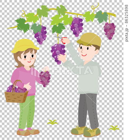 一對夫婦狩獵葡萄的插圖 86325898
