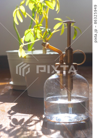 日差しをあびる植物と霧吹き 86325949