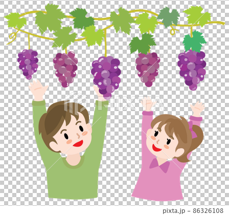 狩獵葡萄的孩子 86326108