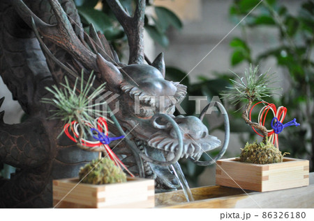 東京のお伊勢さん、東京大神宮 86326180