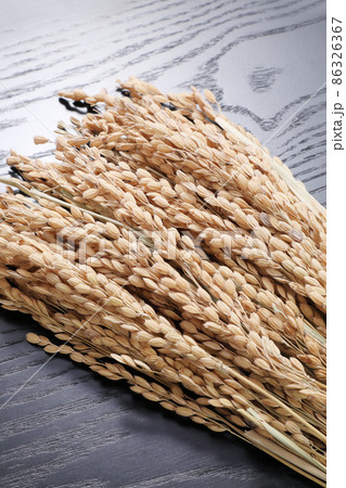 稲穂 稲穂 86326367
