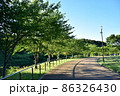 公園の道 86326430