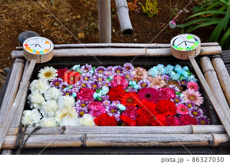 早稲田のお寺の花手水 86327030