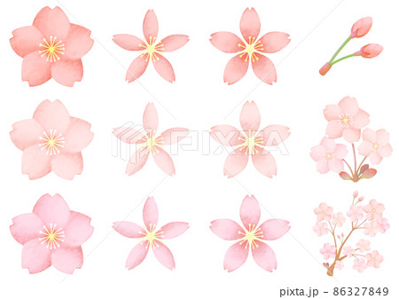 桜 桜の花 桜の枝 桜のつぼみ 素材のイラスト素材