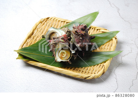 たくさんの新鮮なサザエ たくさんの新鮮なサザエ 86328080