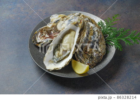 たくさんの新鮮な殻付き生牡蠣 86328214