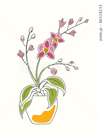 Line art watercolor illustration of orchid in pot with flowers and blossoms Line art watercolor illustration of orchid in pot with flowers and blossoms 86328233