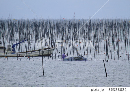 大牟田市　三池港　海苔畑、 86328822