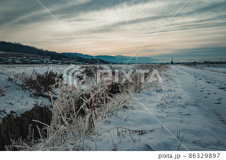 薄曇りの空と霧氷を纏う雑草たち【北安曇郡池田町】 86329897