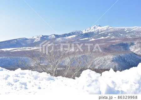 快晴の雪景色、万座高原から四阿山(あずまやさん)の山頂を臨む 86329968