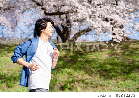 春、桜並木の公園でジョギングしている男性 86332275