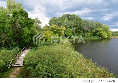 Woods and lake near Hortobagy, Hungary 86332626