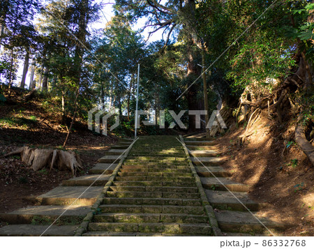 日吉神社の参道 日吉神社の参道 86332768