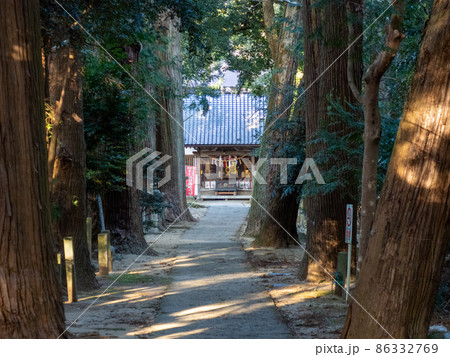 日吉神社の参道 日吉神社の参道 86332769