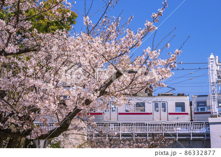 浅草・隅田公園の桜と陸橋を走る鉄道車両（2021年3月） 86332877