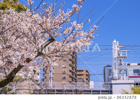 浅草・隅田公園の桜と陸橋を走る鉄道車両（2021年3月） 86332878