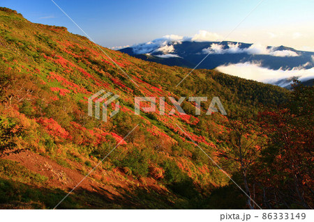 紅葉の銀泉台 紅葉の銀泉台 86333149