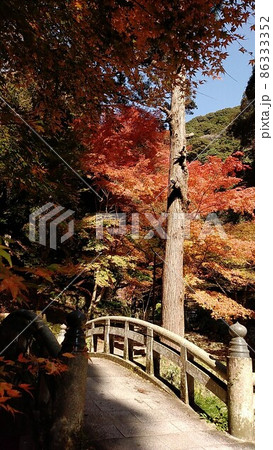 日本庭園 86333352