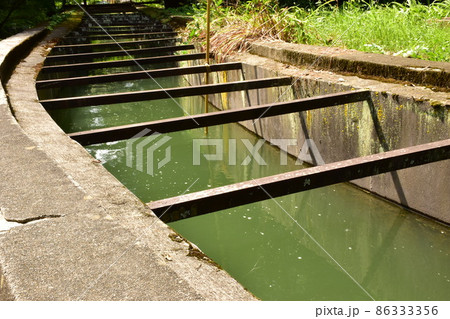南禅寺水路閣の水流 南禅寺水路閣の水流 86333356