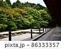 南禅寺天授庵でひと休み 86333357
