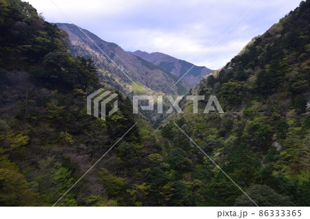静岡県・夢の吊り橋付近の山 静岡県・夢の吊り橋付近の山 86333365