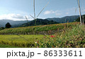 田舎 農業 田んぼ1 田舎 農業 田んぼ1 86333611