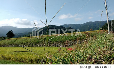 田舎 農業 田んぼ1 田舎 農業 田んぼ1 86333611