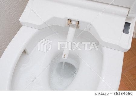 ウォシュレットのノズル掃除 86334660