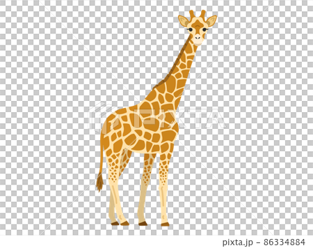 キリンのイラスト 86334884