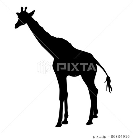 キリン シルエット シンプル リアル モノクロ イラストのイラスト素材
