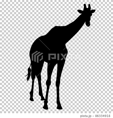 キリン シルエット シンプル リアル モノクロ イラストのイラスト素材