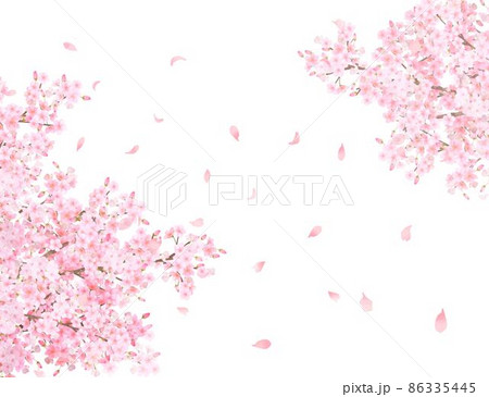 美しく華やかな満開の薄いピンク色の桜の花と花びら舞い散る春の白バックフレームベクター素材イラスト 86335445