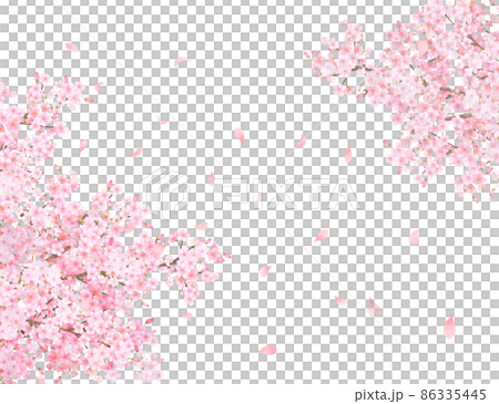 美しく華やかな満開の薄いピンク色の桜の花と花びら舞い散る春の白バックフレームベクター素材イラスト 86335445