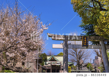 桜咲く隅田公園・牛嶋神社の入口 桜咲く隅田公園・牛嶋神社の入口 86336449