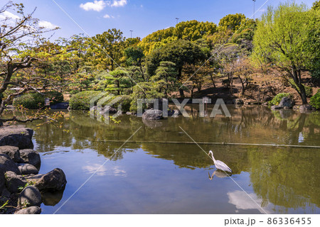 春の隅田公園・ひょうたん池と日本庭園 86336455
