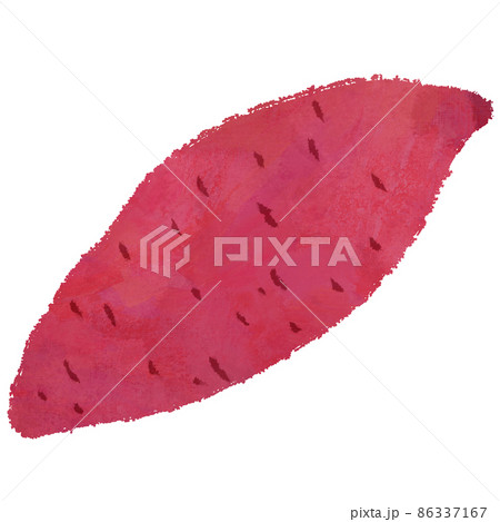 さつまいも　イラスト 86337167