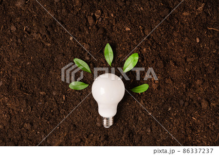 White light bulb with green plant as a concept of eco energy top view. Creative idea of energy saving. White light bulb with green plant as a concept of eco energy top view. Creative idea of energy saving. 86337237