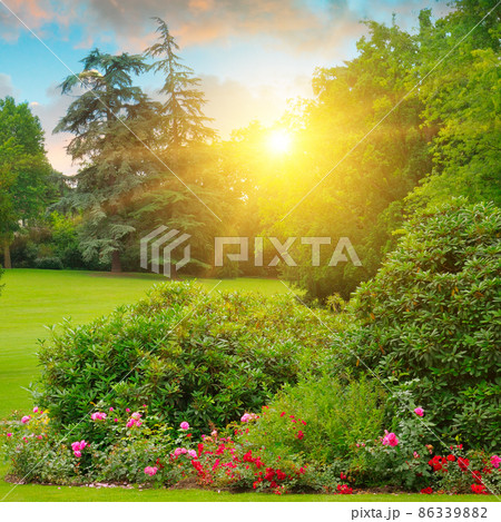 Cozy garden with a flowers and green lawns. Cozy garden with a flowers and green lawns. 86339882