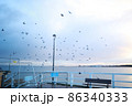 Pier on the Baltic Sea. Many birds on the sea and a wooden pier. There are many lanterns on the pier. A flock of birds over the sea. 86340333