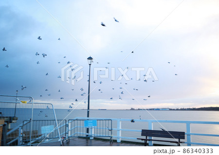 Pier on the Baltic Sea. Many birds on the sea and a wooden pier. There are many lanterns on the pier. A flock of birds over the sea. 86340333