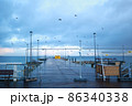 Pier on the Baltic Sea. Many birds on the sea and a wooden pier. There are many lanterns on the pier. A flock of birds over the sea. 86340338