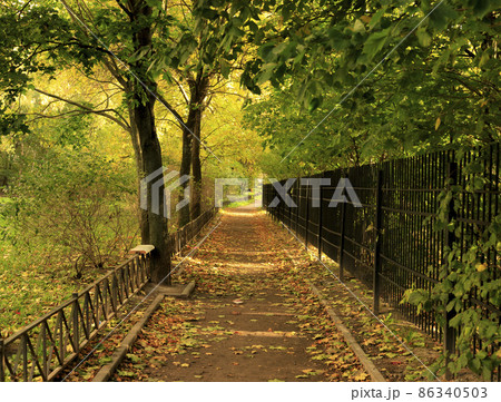 Path strewn with fallen leaves. City park in autumn sunny day. 86340503